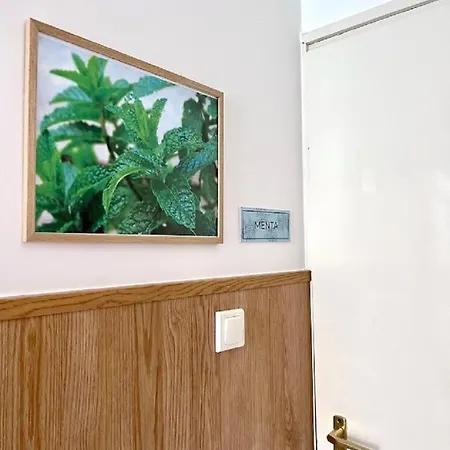 Berke Apartman * 佐洛卡罗斯