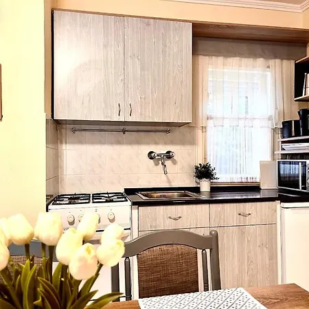 公寓 Berke Apartman 佐洛卡罗斯