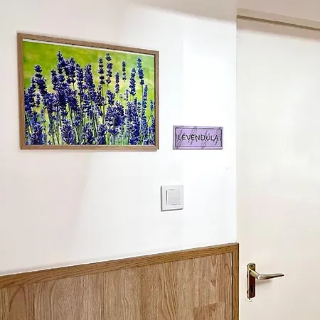 Berke Apartman 公寓